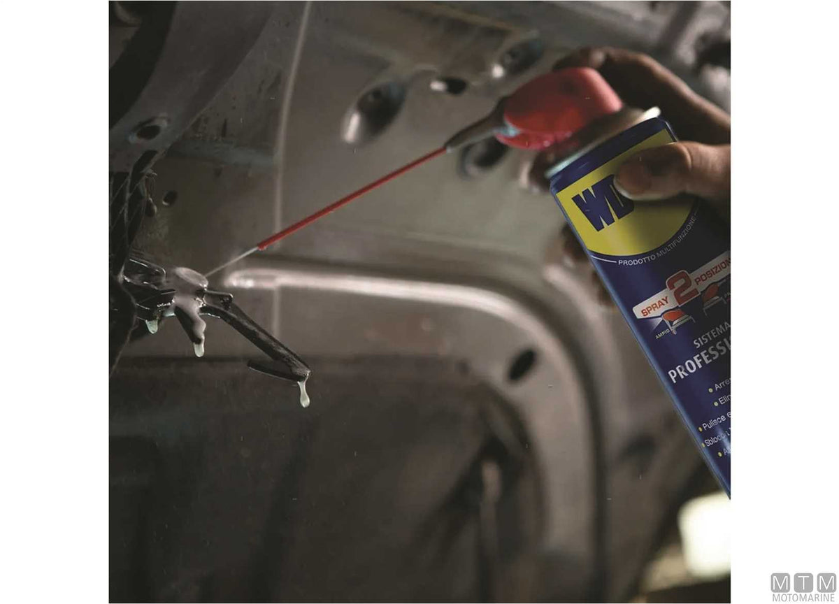 WD-40 PROFESSIONAL SPRAY 250ML