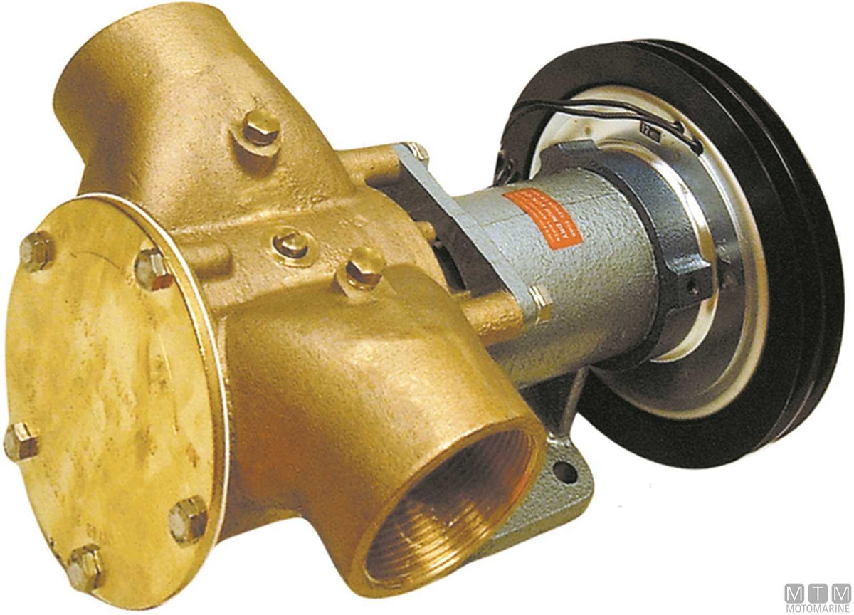 PULEGGIA MAGNETICA JOHNSON 2 GOLE TIPO A 12V