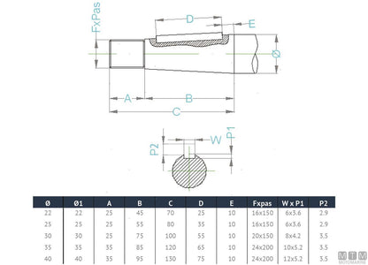 ASSE ELICA IN ACCIAIO INOX DUPLEX D35MM L180CM
